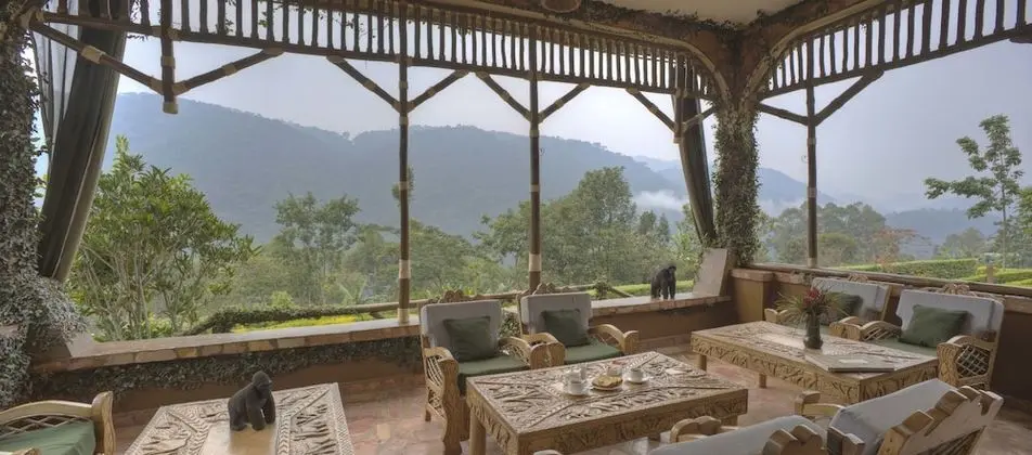 Silverback Lodge - Dış Mekan