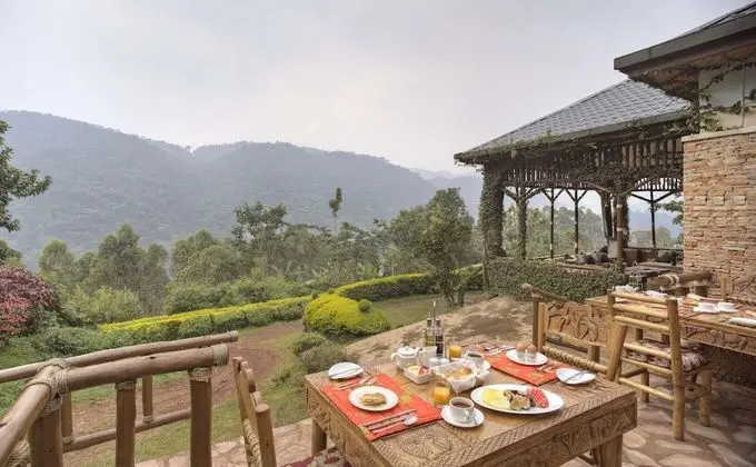 Silverback Lodge - Yerinde Yemek