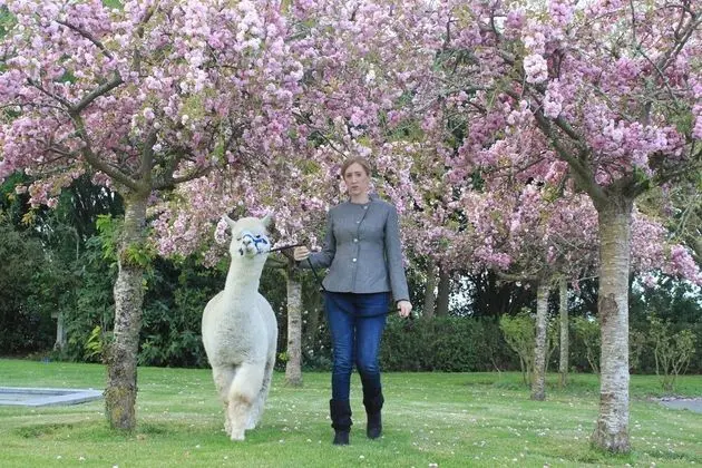 Silverstream Alpaca Farmstay and Tour - Dış Mekan
