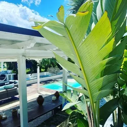 Villa Silvio - Havuz
