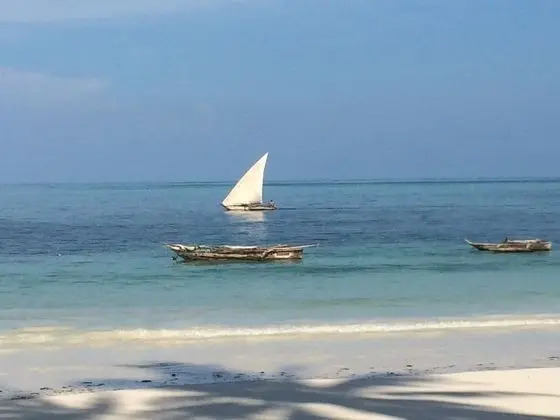 Simba Beach Zanzibar - Plaj