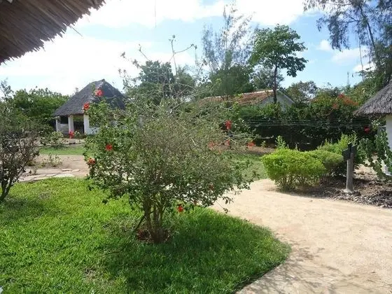Simba Oryx Beach Cottages - Dış Mekan