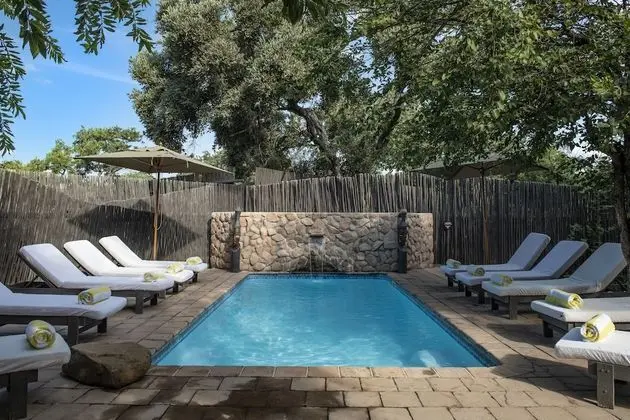 Simbavati River Lodge - Havuz