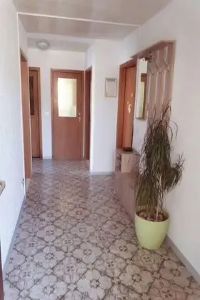 Šimun - 15m From the Beach - A1 - Dış Mekan