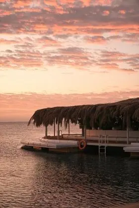 Sindbad Club - Genel