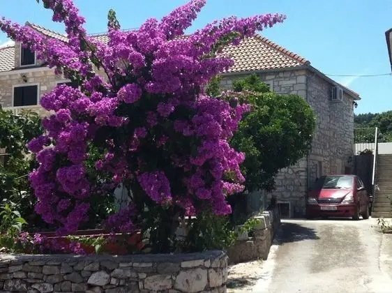 Siniša - 300 m From Beach - A1 - Dış Mekan