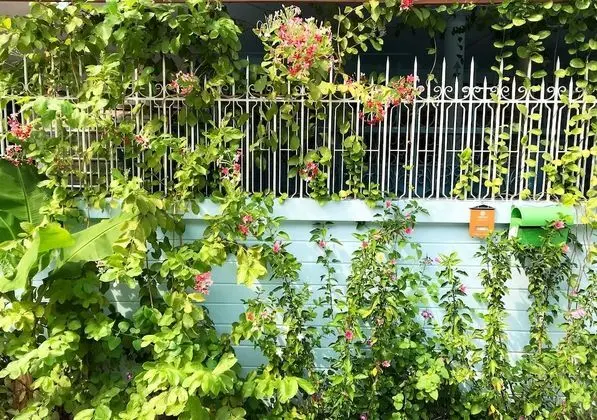 Sira’s House - Öne Çıkan Resim