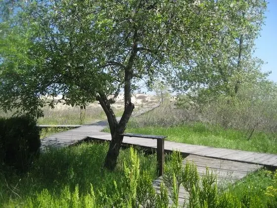 Sirena Hotel - Dış Mekan