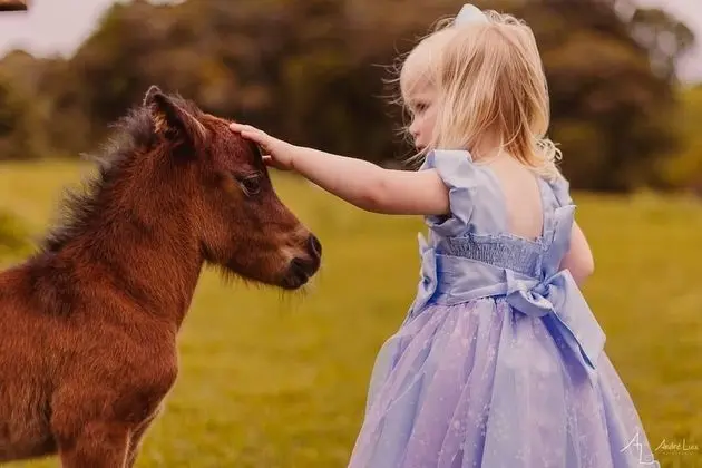 Sítio Morada da Neblina