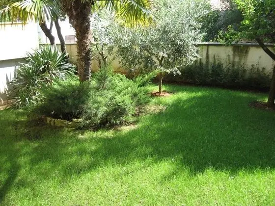 Six Person Apartment With 2 Bedrooms Near the Beach in Pjescana Uvala