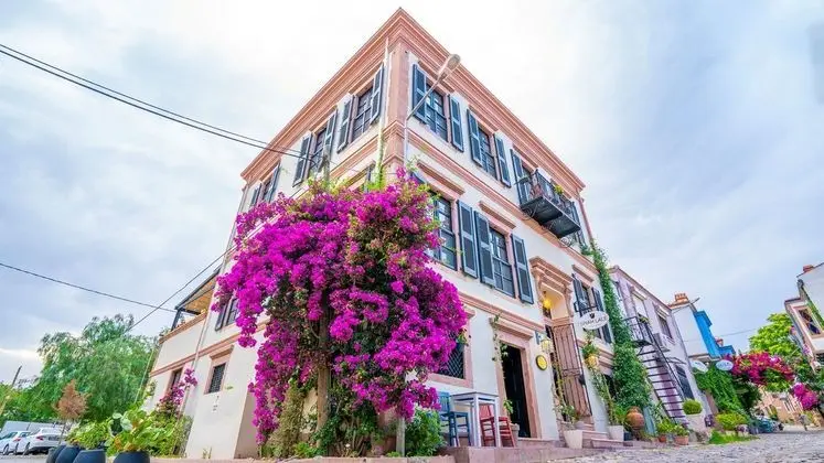 Siyah Lale Cunda 1841