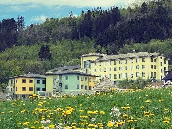 Sjøholt Sommerhotell Bed&Breakfast - 1
