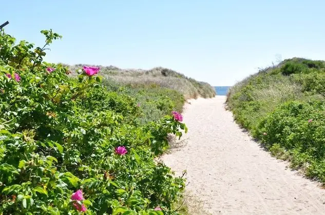 Skagen Strand Hotel Og Feriecenter - Plaj