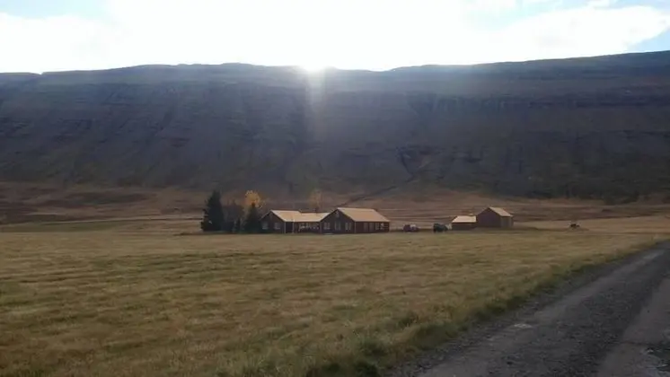 Skarð