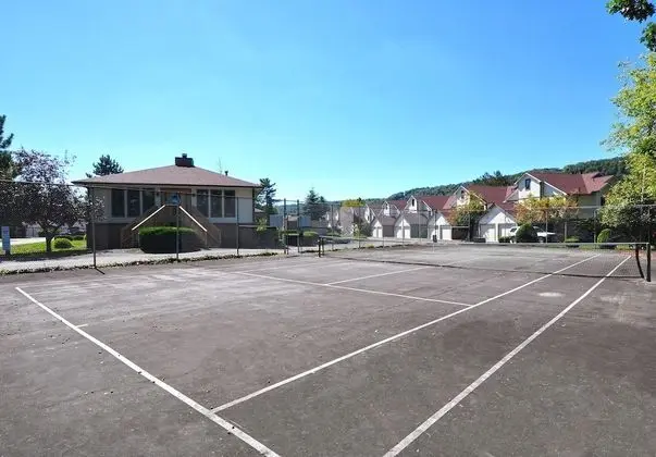Ski Harbor 07