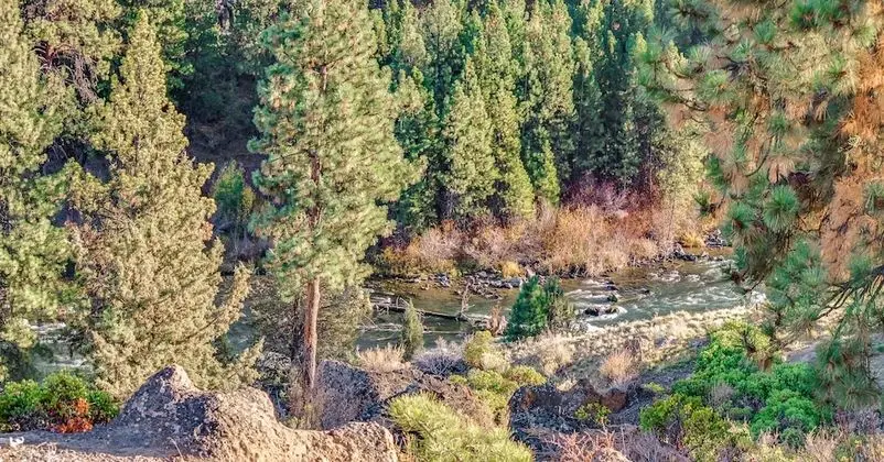 Ski House 119 - Öne Çıkan Resim