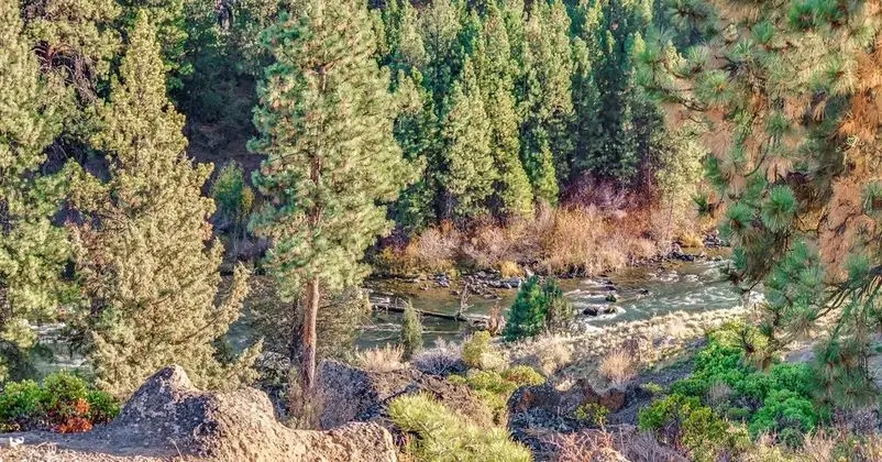 Ski House 138 - Öne Çıkan Resim