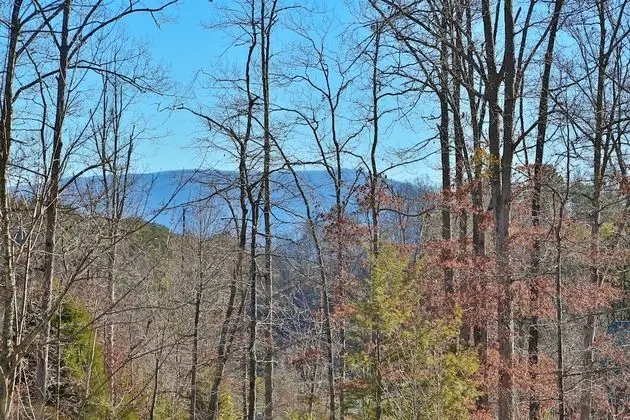 Skinny Dippin - One Bedroom Cabin - Dış Mekan