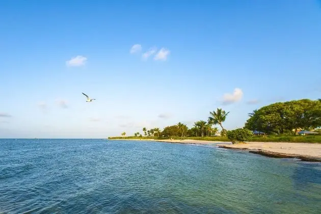 Skipjack Resort Suites & Marina