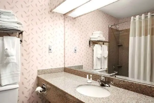 Sky Palace Inn Anthony - Banyo Tipleri