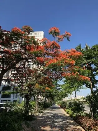 SkyBay HomeTel Ha Long - Dış Mekan