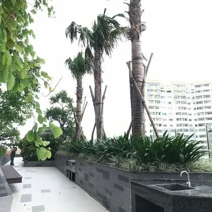 SkyDragon Place - Dış Mekan