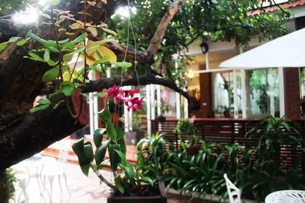 Skyline Boutique Hotel - Manzara / Peyzaj