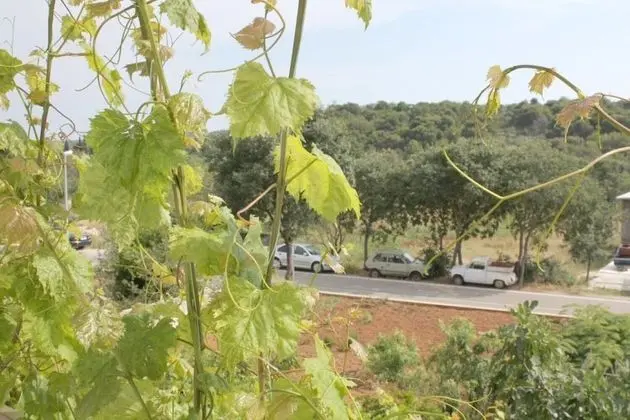 Slavica - Free Parking - A2 Veliki