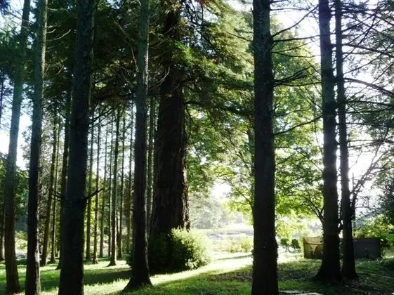 Slebech Park Restaurant & Rooms - Dış Mekan