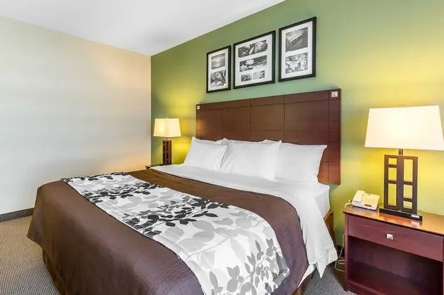 Sleep Inn & Suites Bush Intercontinental - IAH East - Oda