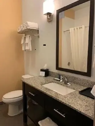 Sleep Inn & Suites Carlsbad Caverns Area - Banyo Tipleri