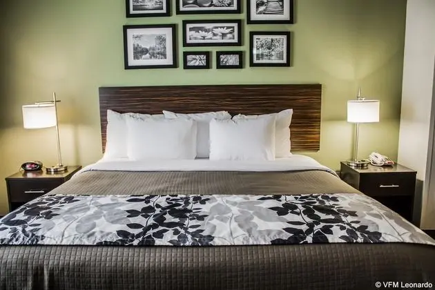 Sleep Inn & Suites Harrisburg Area - Genel
