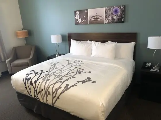 Sleep Inn & Suites - Oda