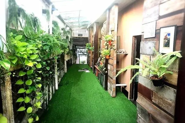 Sleep Ping Bed & River Bar - Hostel - İç Mekan