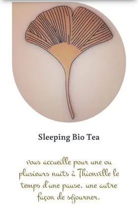 Sleeping Bio Tea - B&B - İç Mekan
