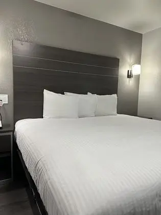 Sleepy Traveler Motel - Oda