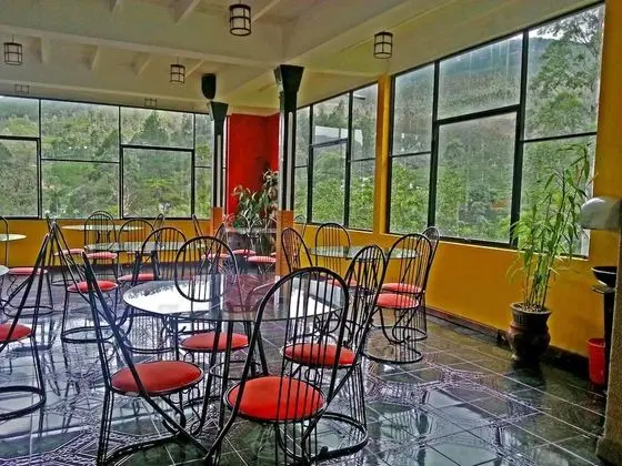 Slightly Chilled Yellow House - Yerinde Yemek