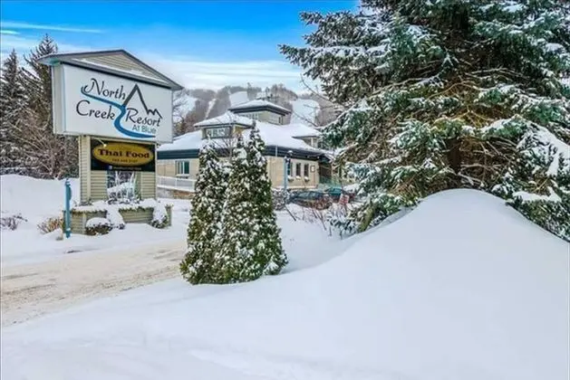 Slope-side Studio Bliss Ski-inski-out, Renovated At Blue, Hot Tub, Fast Wi-fi