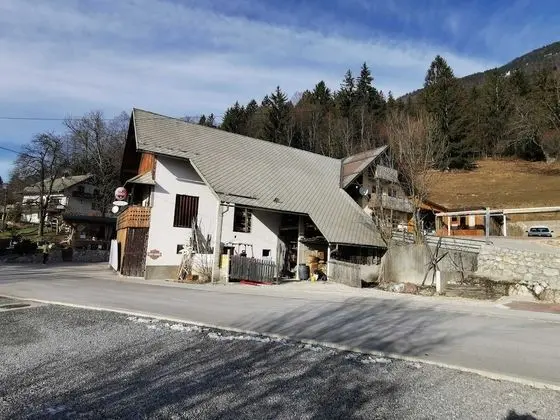 Slovenian Traditional Guesthouse