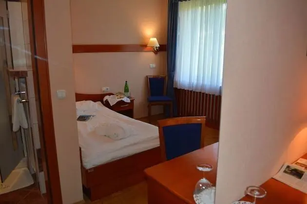 Hotel Slovenija - Oda