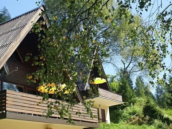Small Pet-friendly Holiday Park With Nassfeld Card in High Season - Öne Çıkan Resim