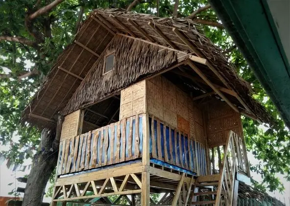 SmallFry's Beach Resort