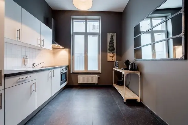Smartflats City - Brusselian - Mutfak