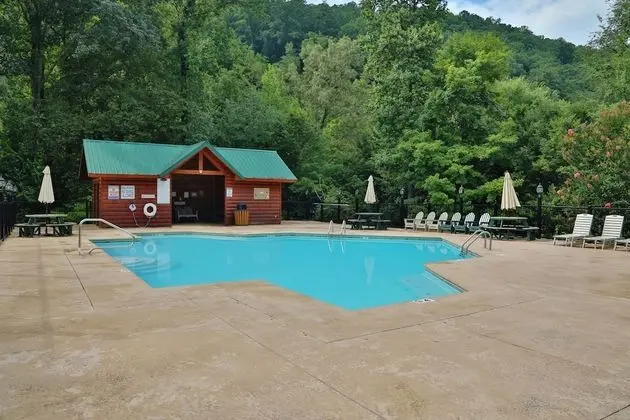 Smoky Bear Manor - Five Bedroom Cabin - Havuz