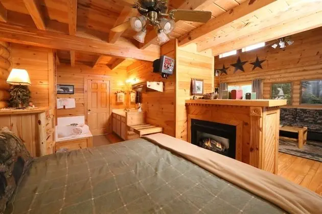 Smoky Cascades - One Bedroom Cabin - Oda