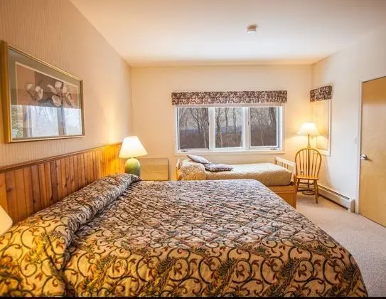 Smuggler's Notch Resort by Resort Stay - Oda