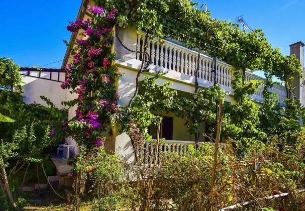 Snježa - Green House - A1 Andelija
