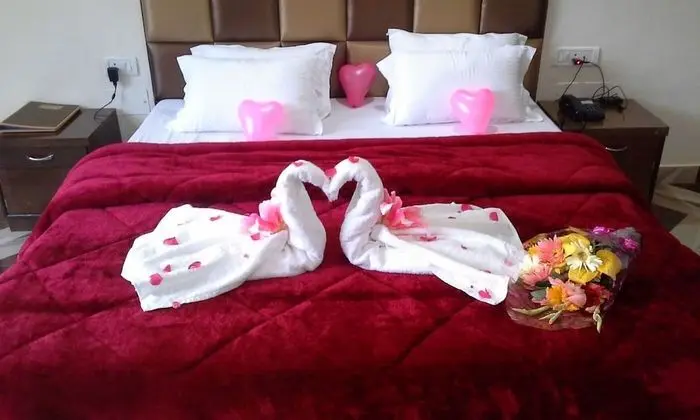 Snow Touch Resort (Shri Nath Group) - Oda