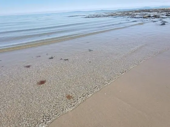Snowdonia Sunbeach Holiday Sea and Mountain View - Plaj