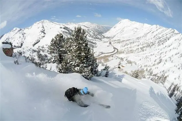 The Snowpine Lodge